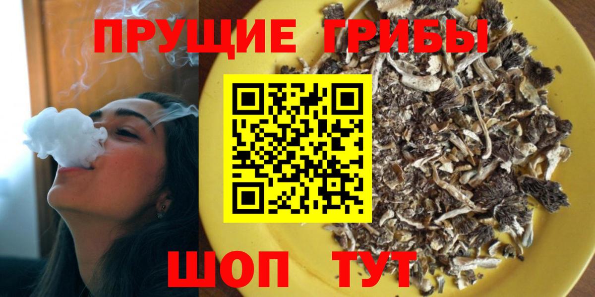 Галлюциногенные грибы MAGIC MUSHROOMS  Псилоцибиновые грибы мухоморы  Чебаркуль  Вход с VPN 